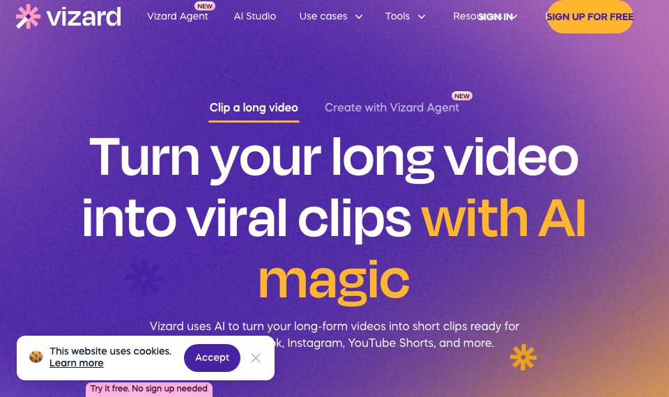 Vizard
