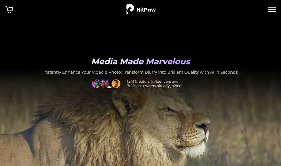 HitPaw