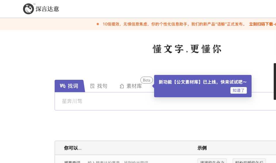 深言达意