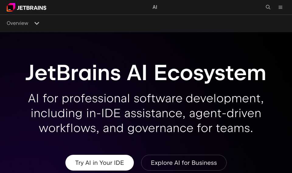 JetBrains AI